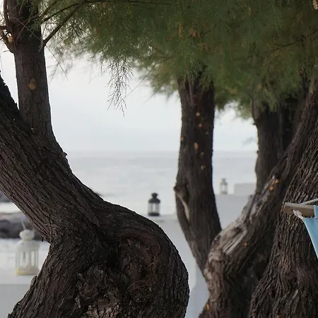 Ośrodek wypoczynkowy Villa Sangineto Resort