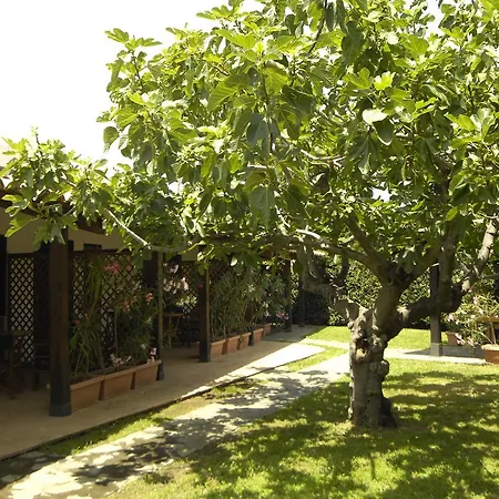 Villa Sangineto Resort Sangineto